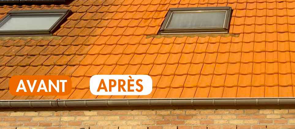 Entretien toiture : ELAGUEURAZUR : nettoyage des épines sur toiture, démoussage de votre toit. Nettoyage gouttière sur Nice, Antibes et sa région ...